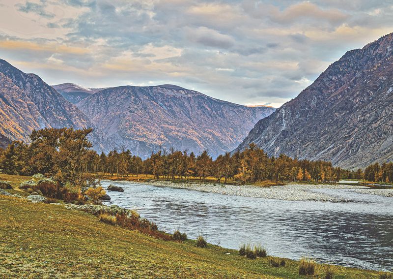 алтай, осенью, в, сентябре. Раннее утро. фото превью