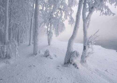 Морозный иней