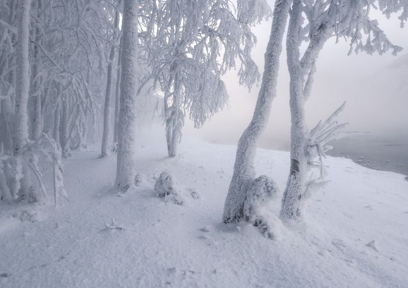 зима, мороз, енисей,  сибирь, дивногорск, иней , изморозь Морозный иней фото превью