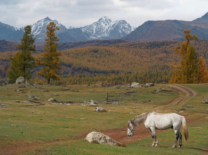На распутье... фото превью