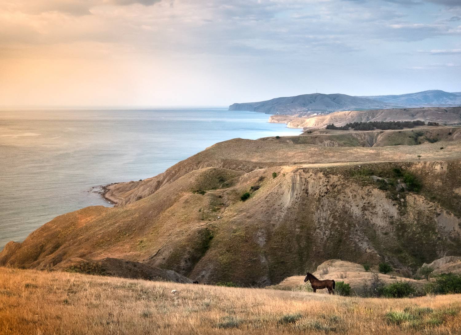 , Коротеев Вадим