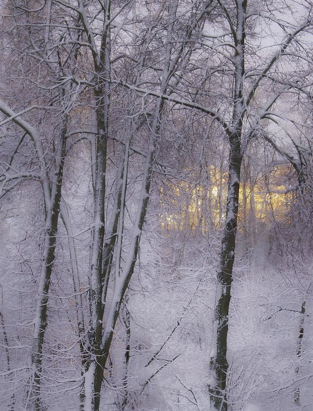 Зимние грёзы фото превью