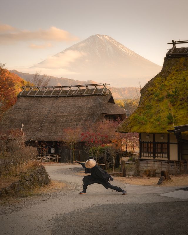 Monk фото превью