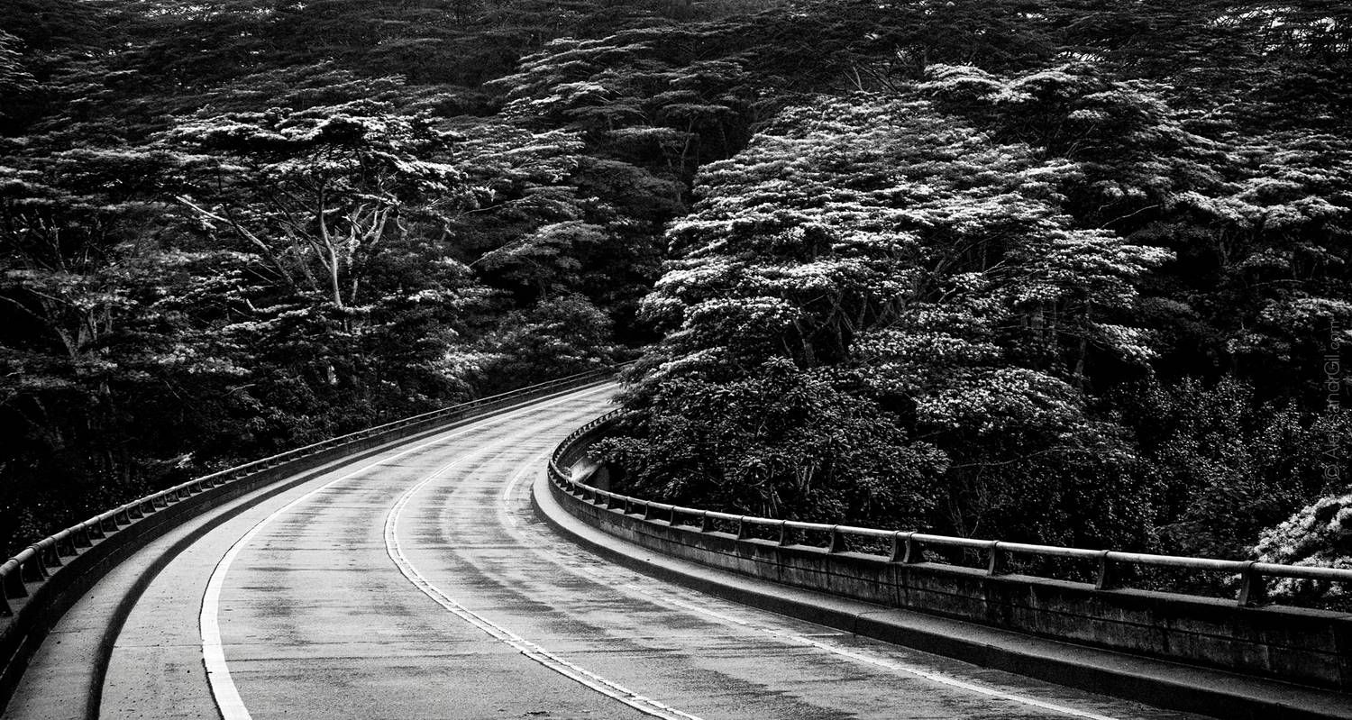 , Гиль Александр