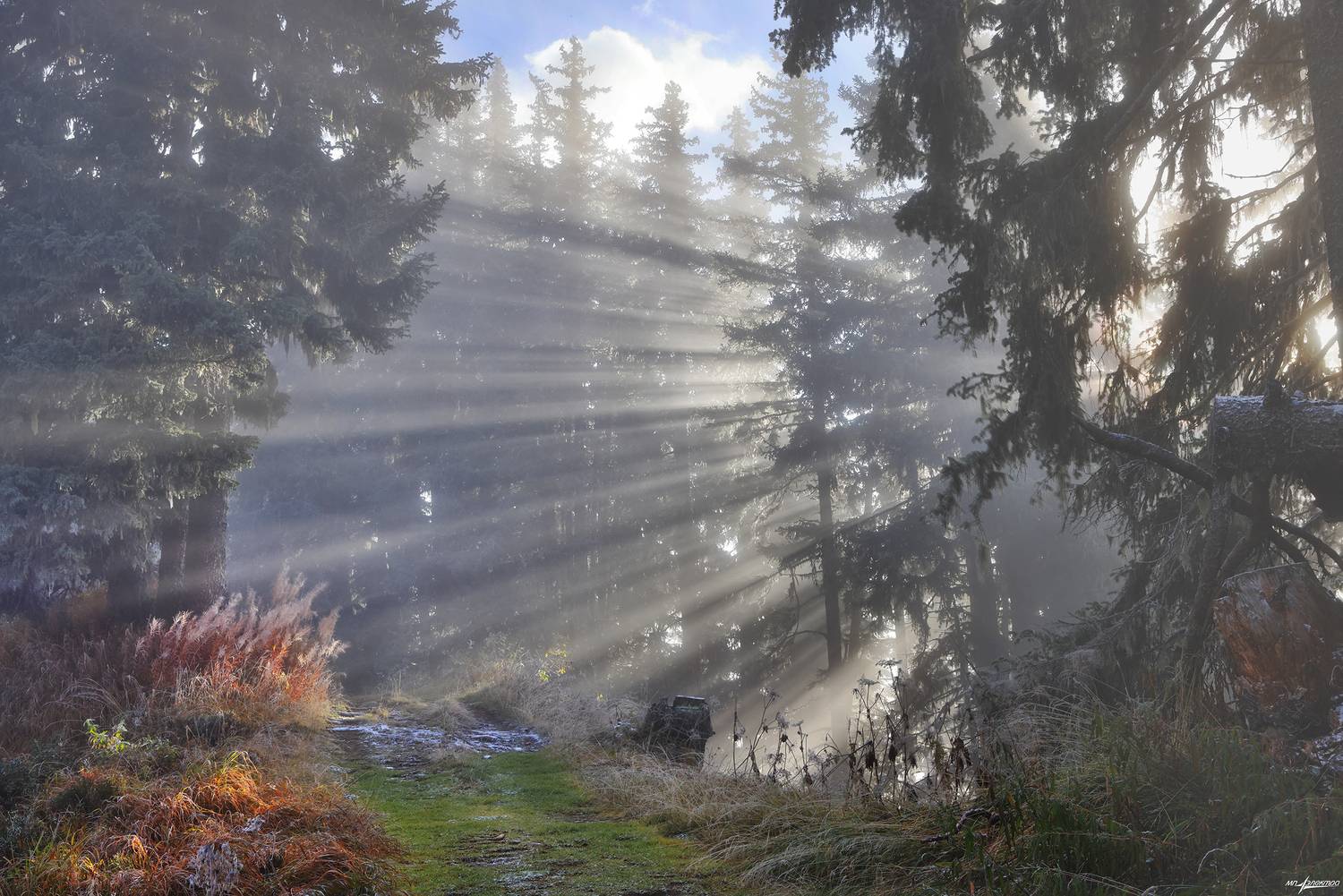 swiss, Матвеев Николай