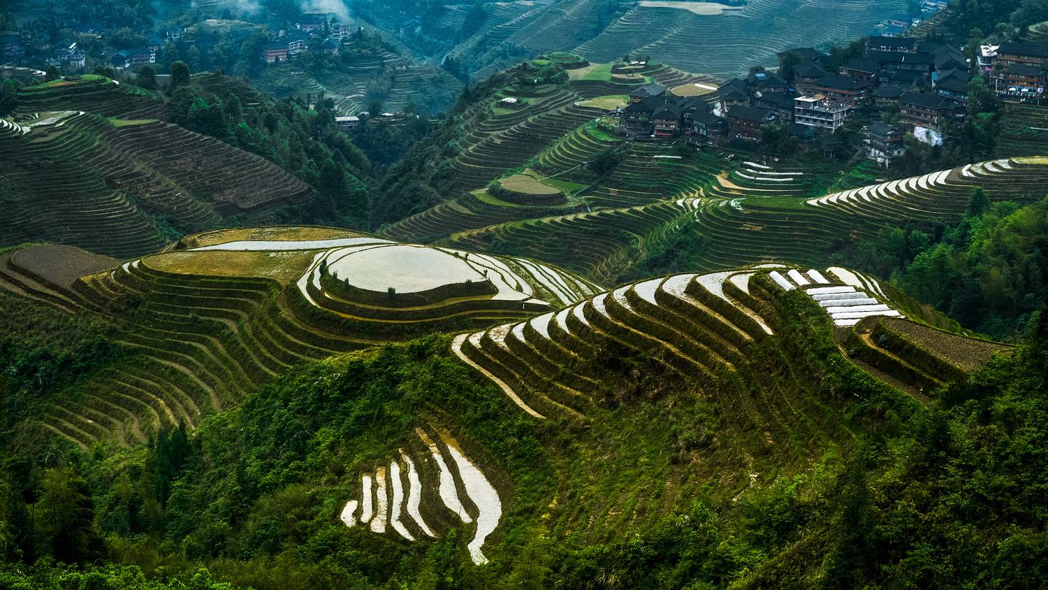 , Низовцев Сергей