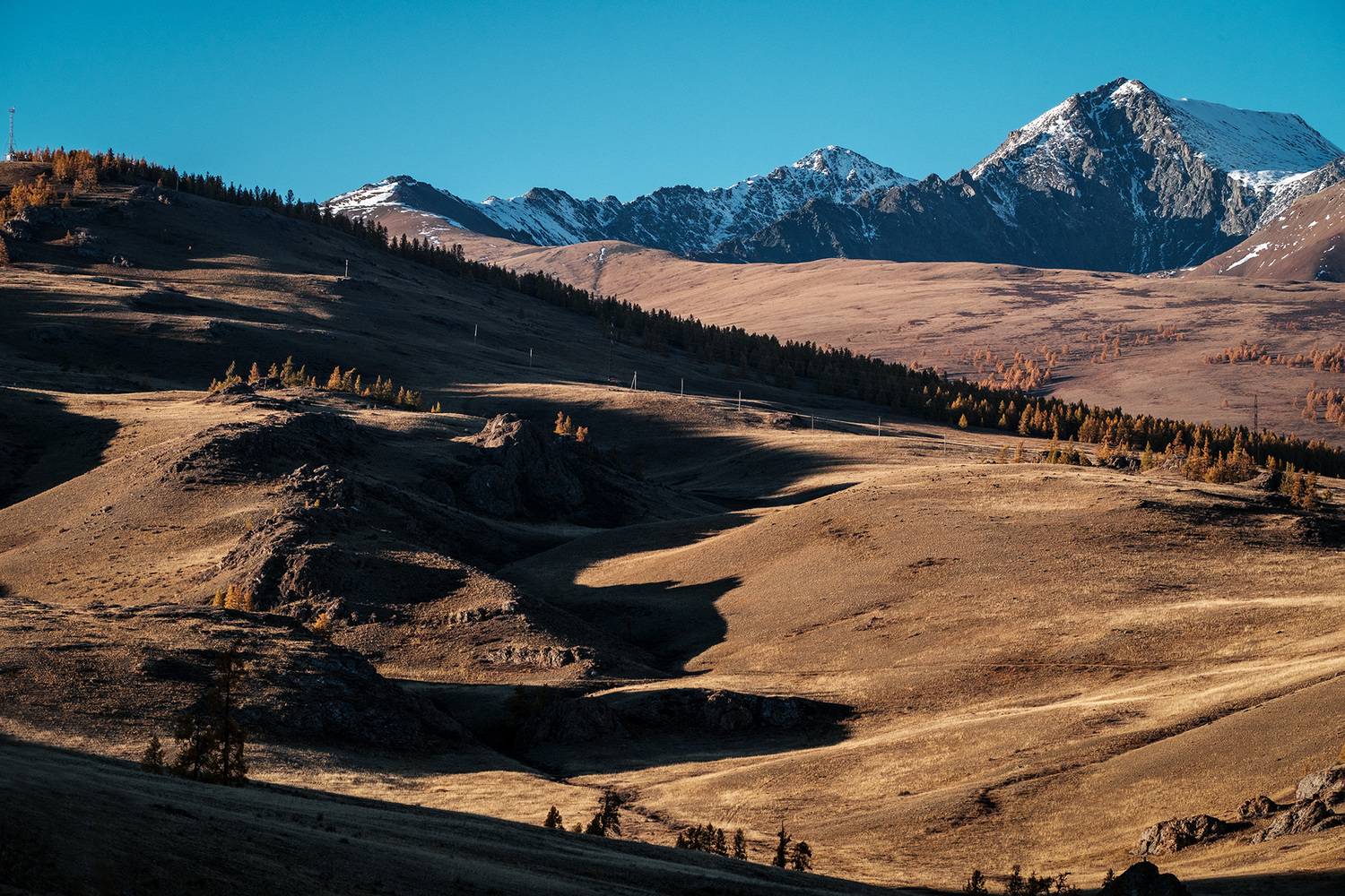 , Бодрягин Виталий