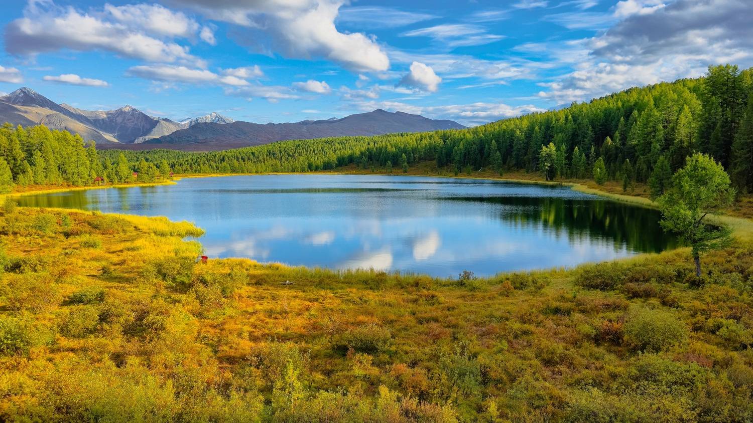 , Игорь Кабанов