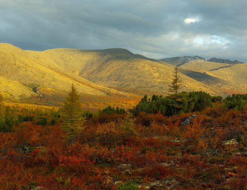 озеро джека лондона,колыма. Колымская осень фото превью