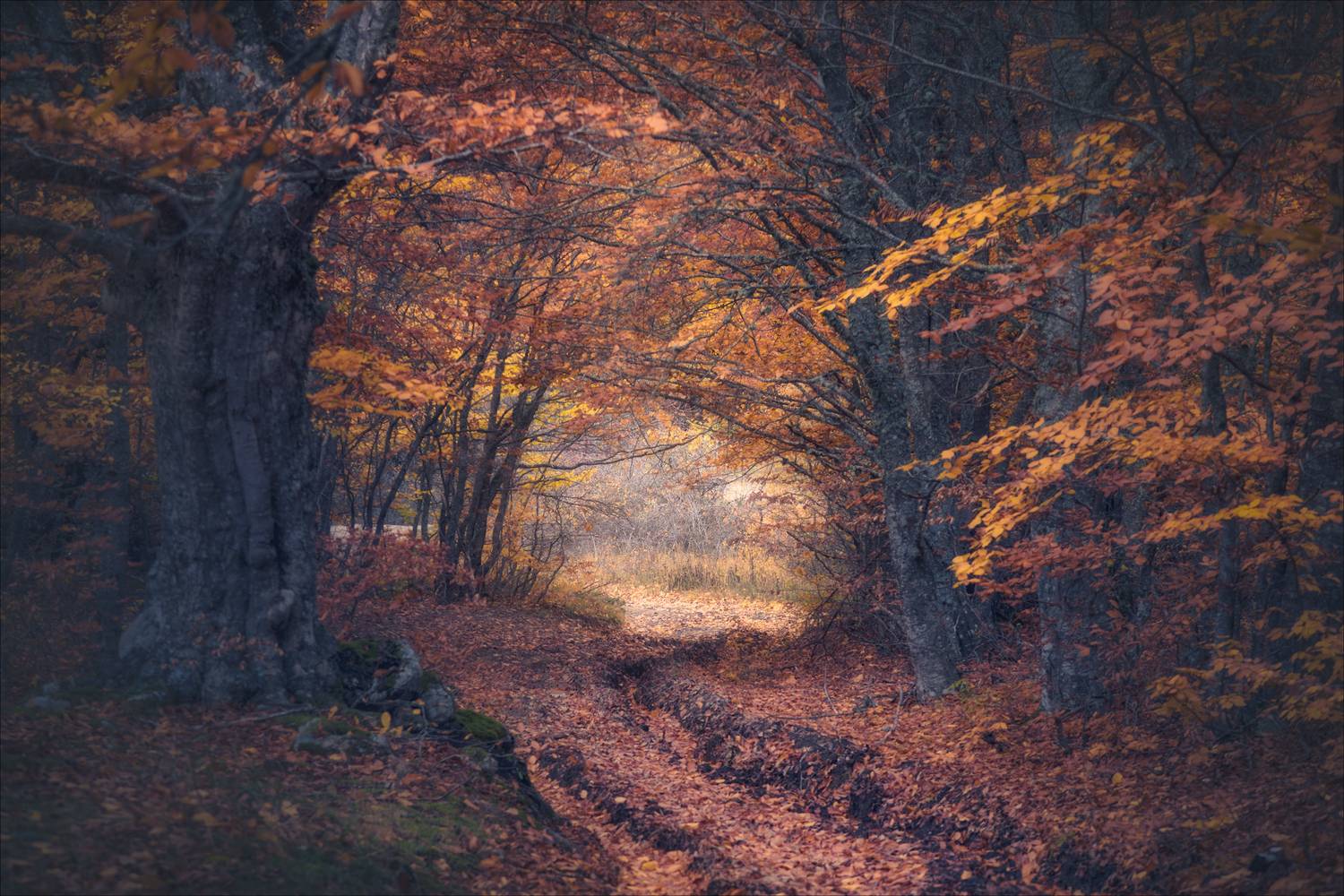 , Богорянов Алексей