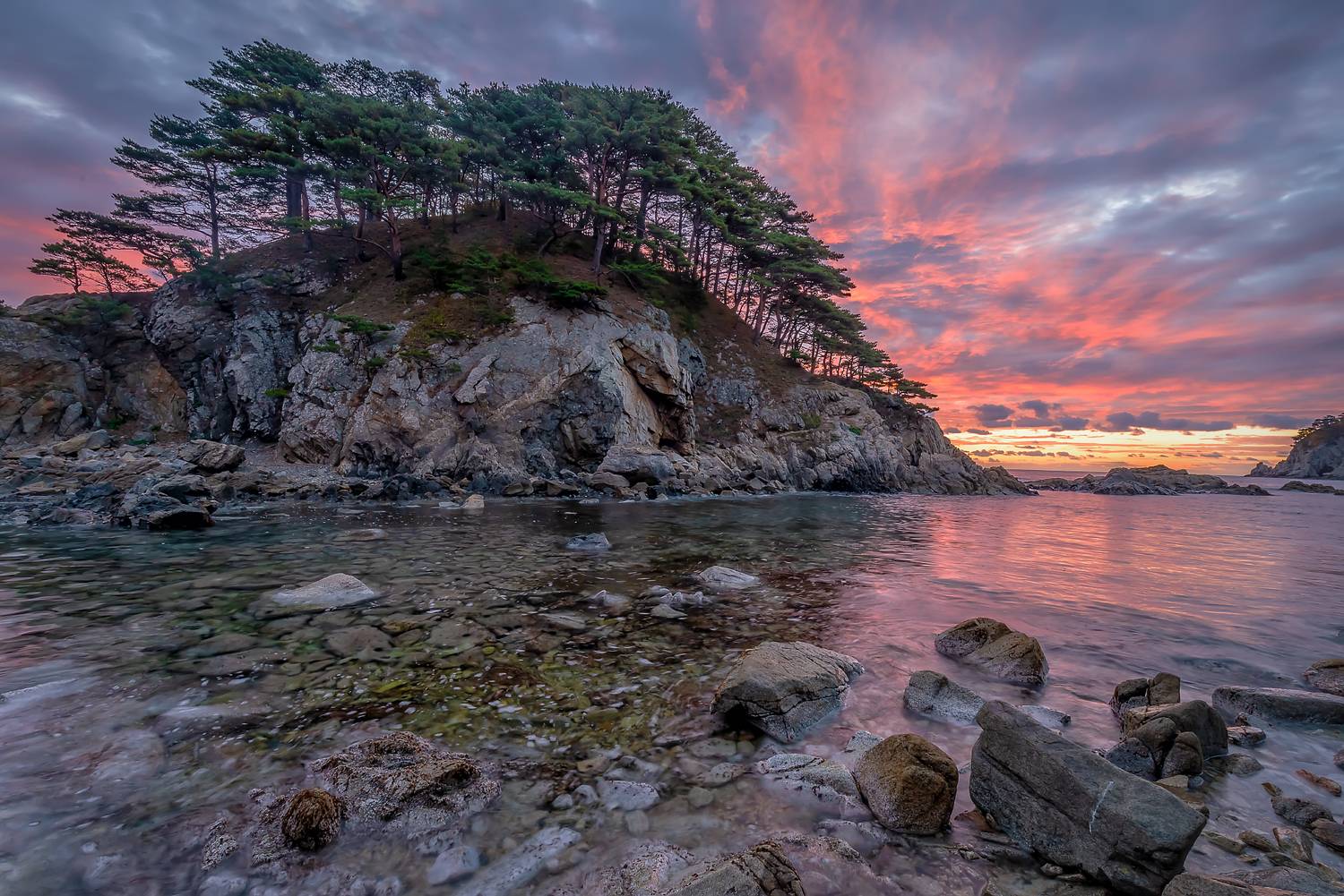 приморье, японское море, Россия, Владимир Иванов