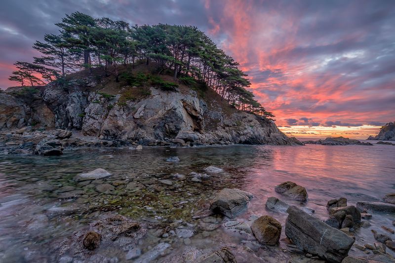 Остров Томящегося сердца фото превью