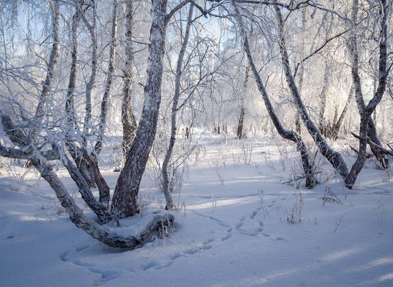 хитроплетенья фото превью