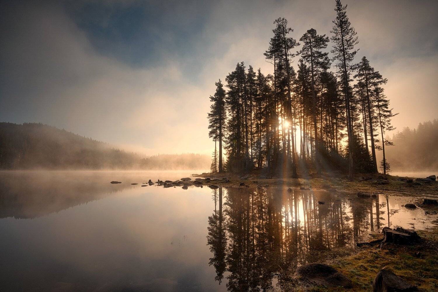 , Весела Маринова