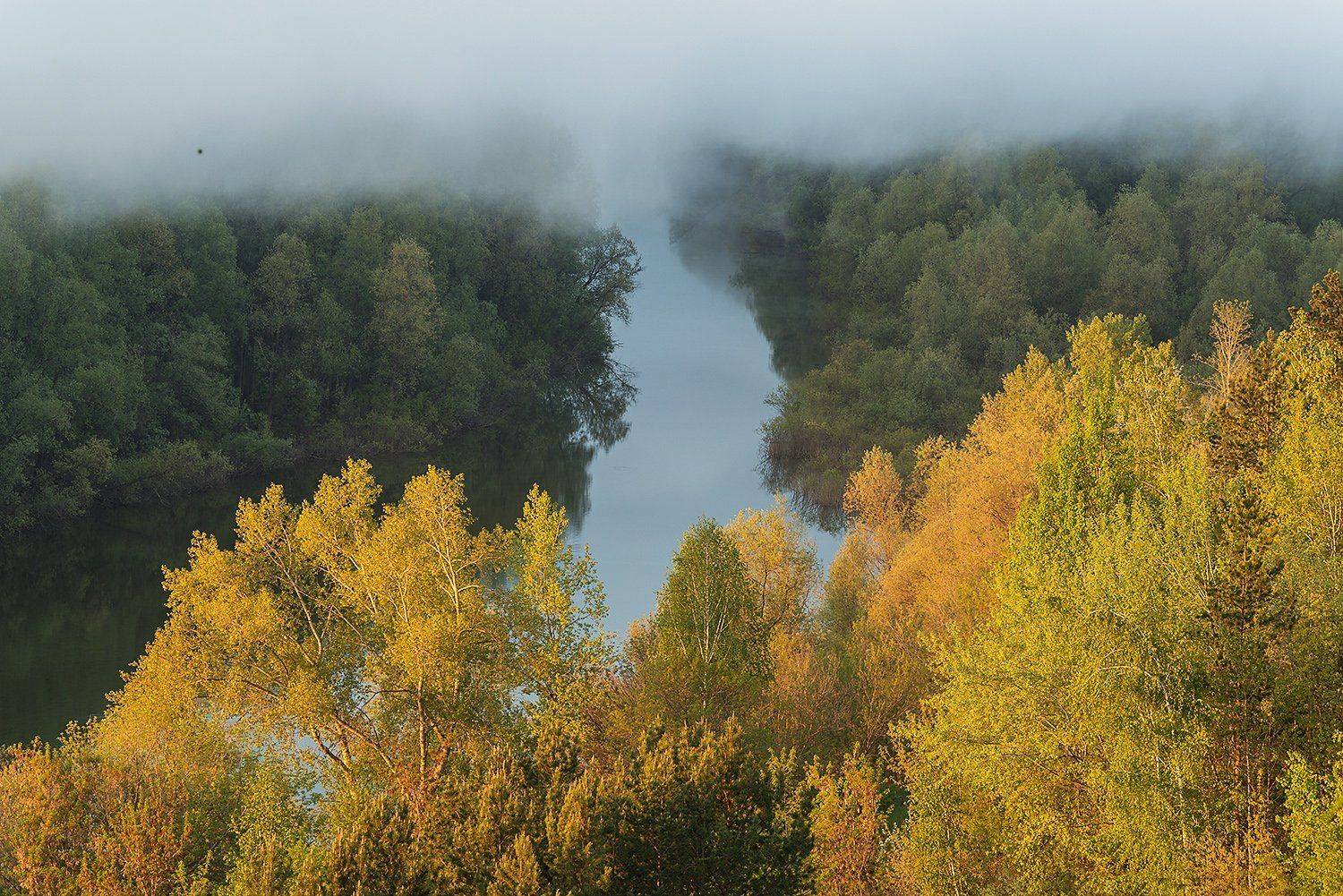 Altai, Altai krai, Fog, Siberia, Spring, Алтай, Алтайский край, Весна, Обь, Сибирь, Туман, Павел Филатов