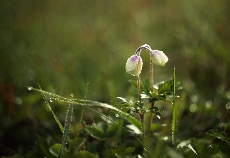 Love is... фото превью