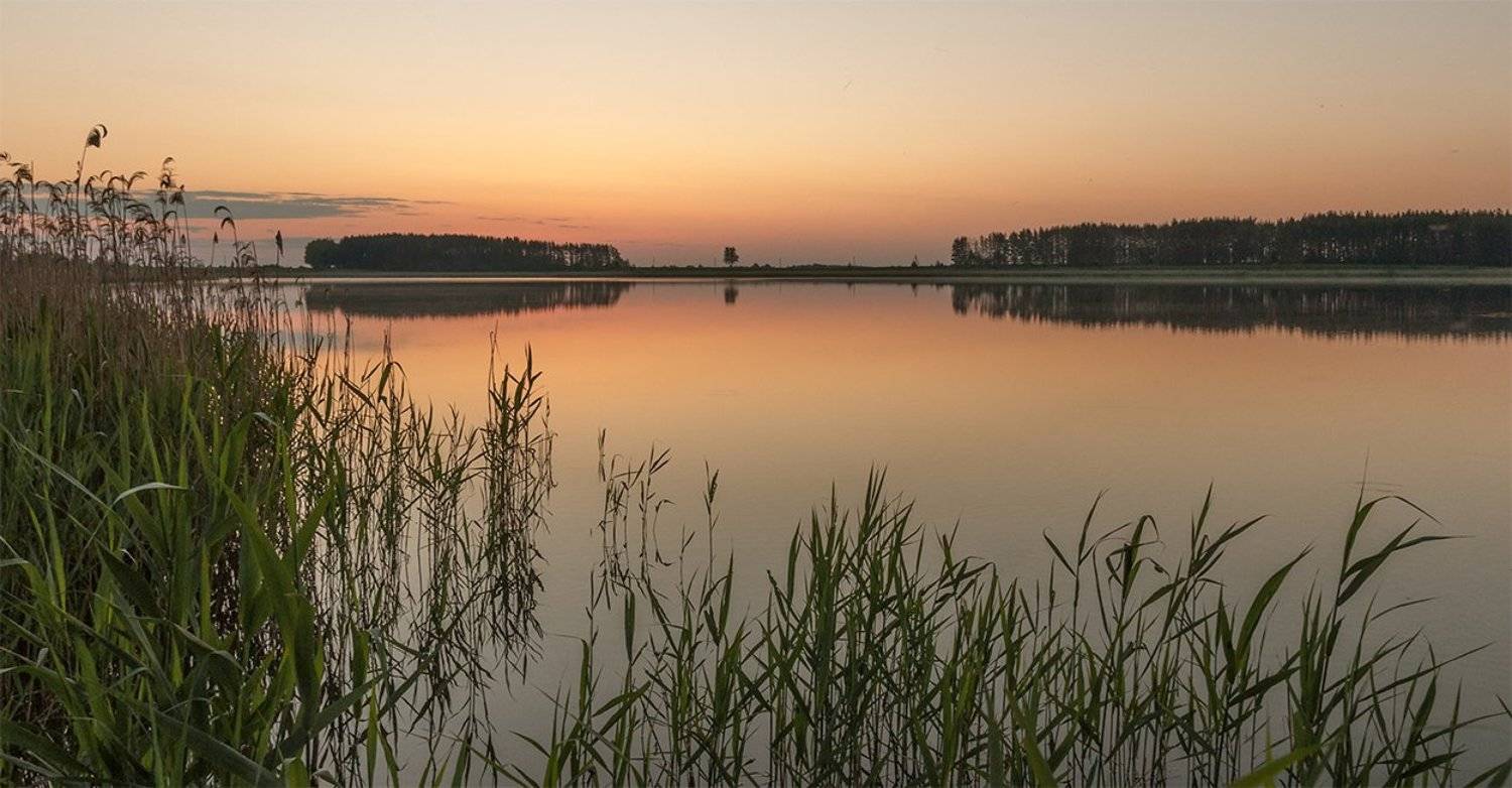 , Анатолий Зверев