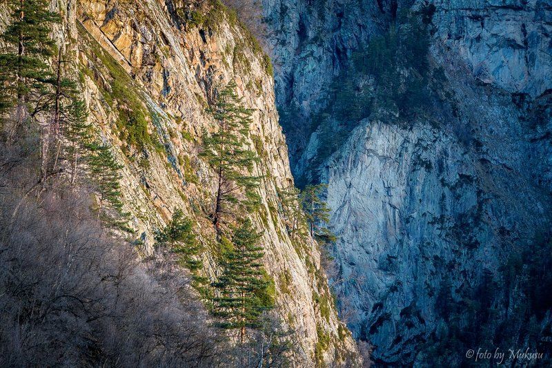 кавказ, цейское ущелье, горы, путешествия, природа, пейзаж Цейское ущелье фото превью