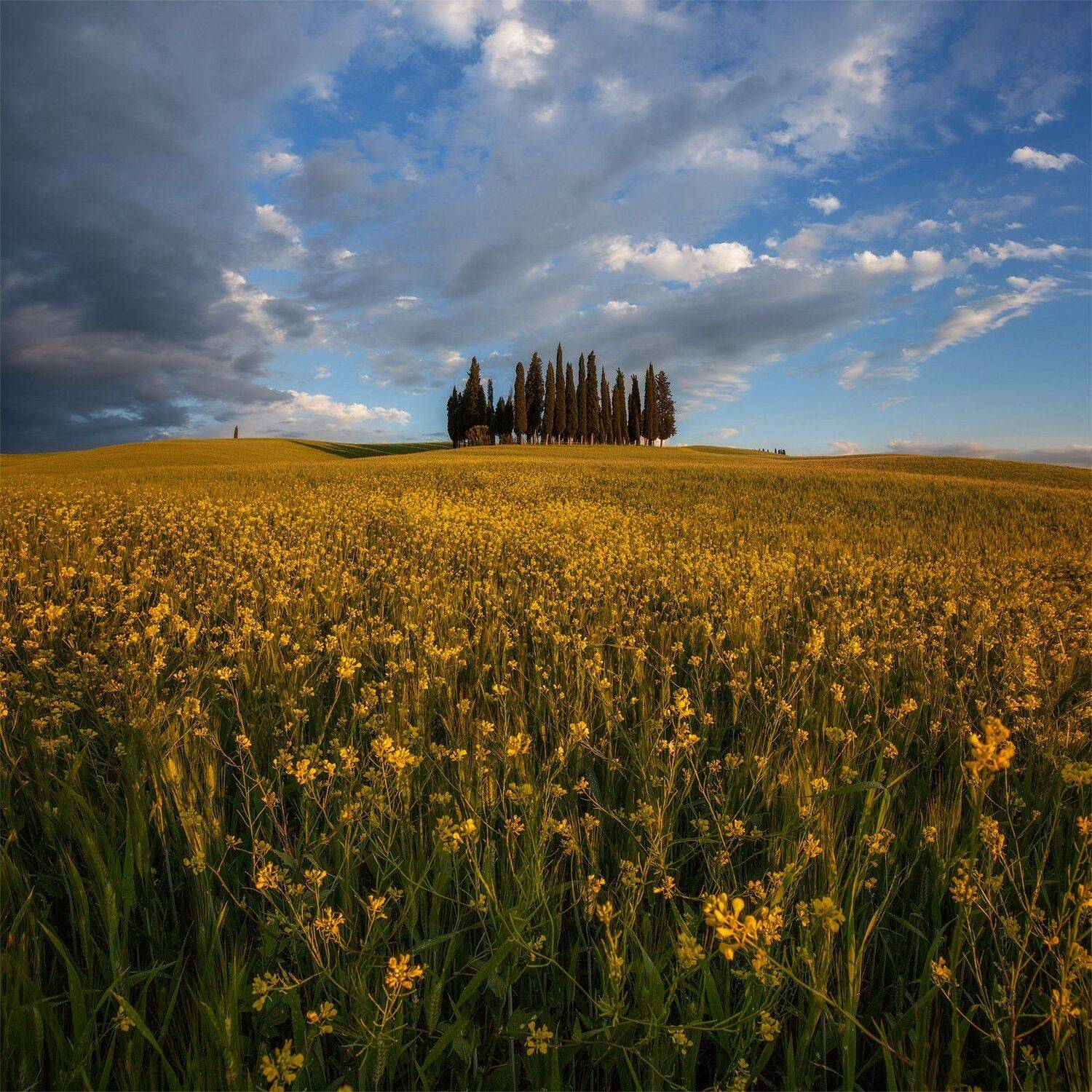 italy, tuscany, италия, тоскана, Юрий (Phototours.pro) Шевченко