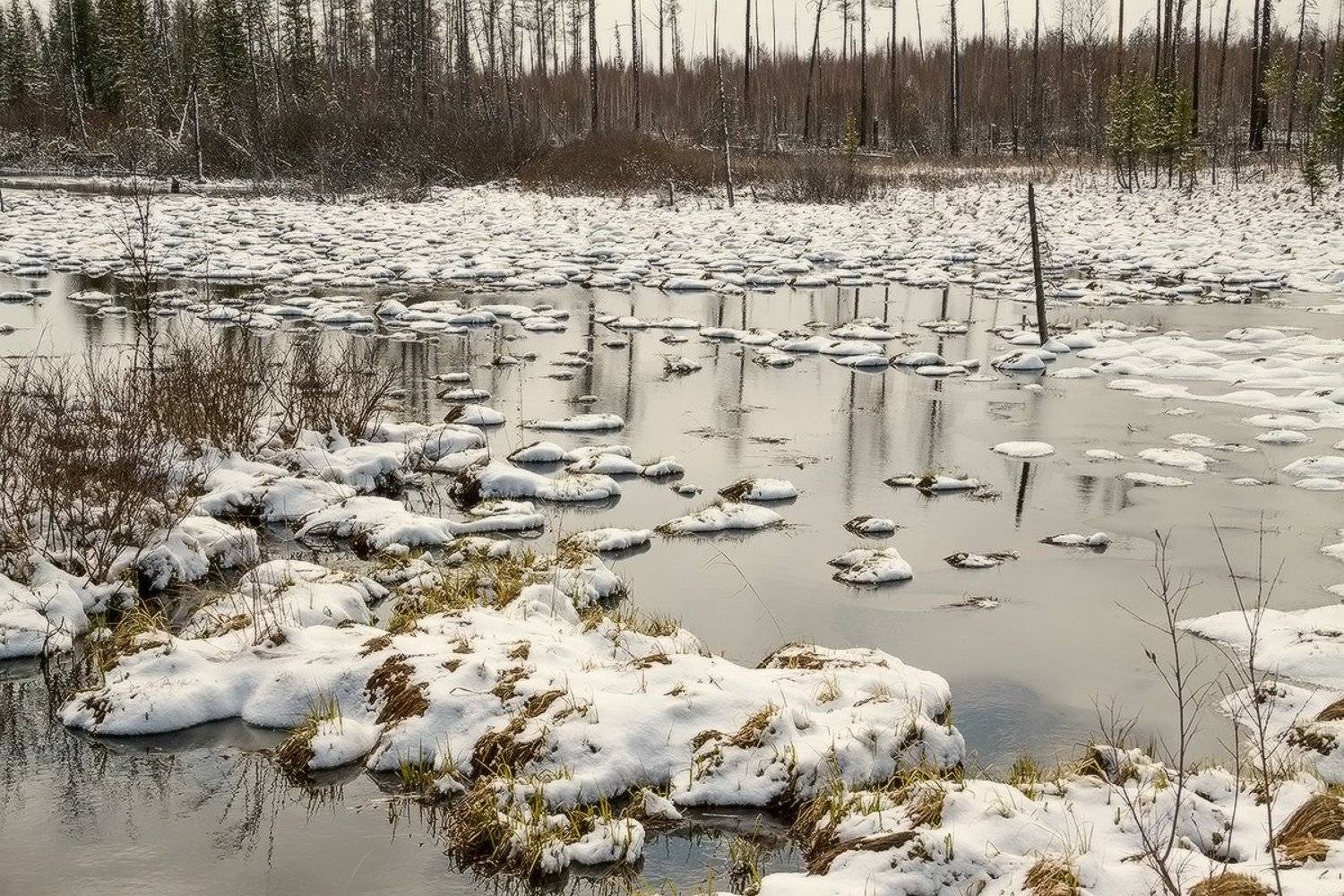 , Николай Морский