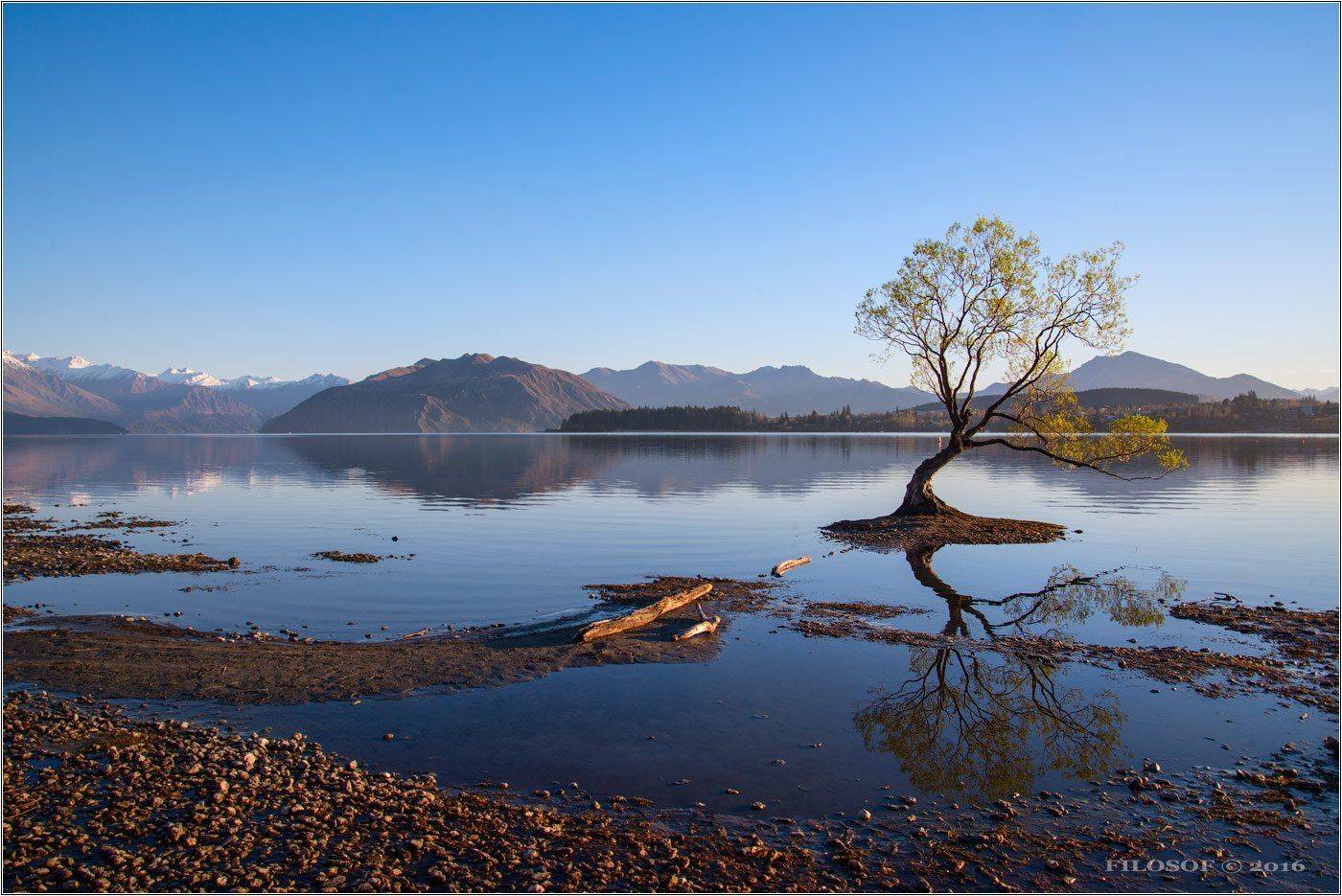 , Геннадий FILOSOF Шатов