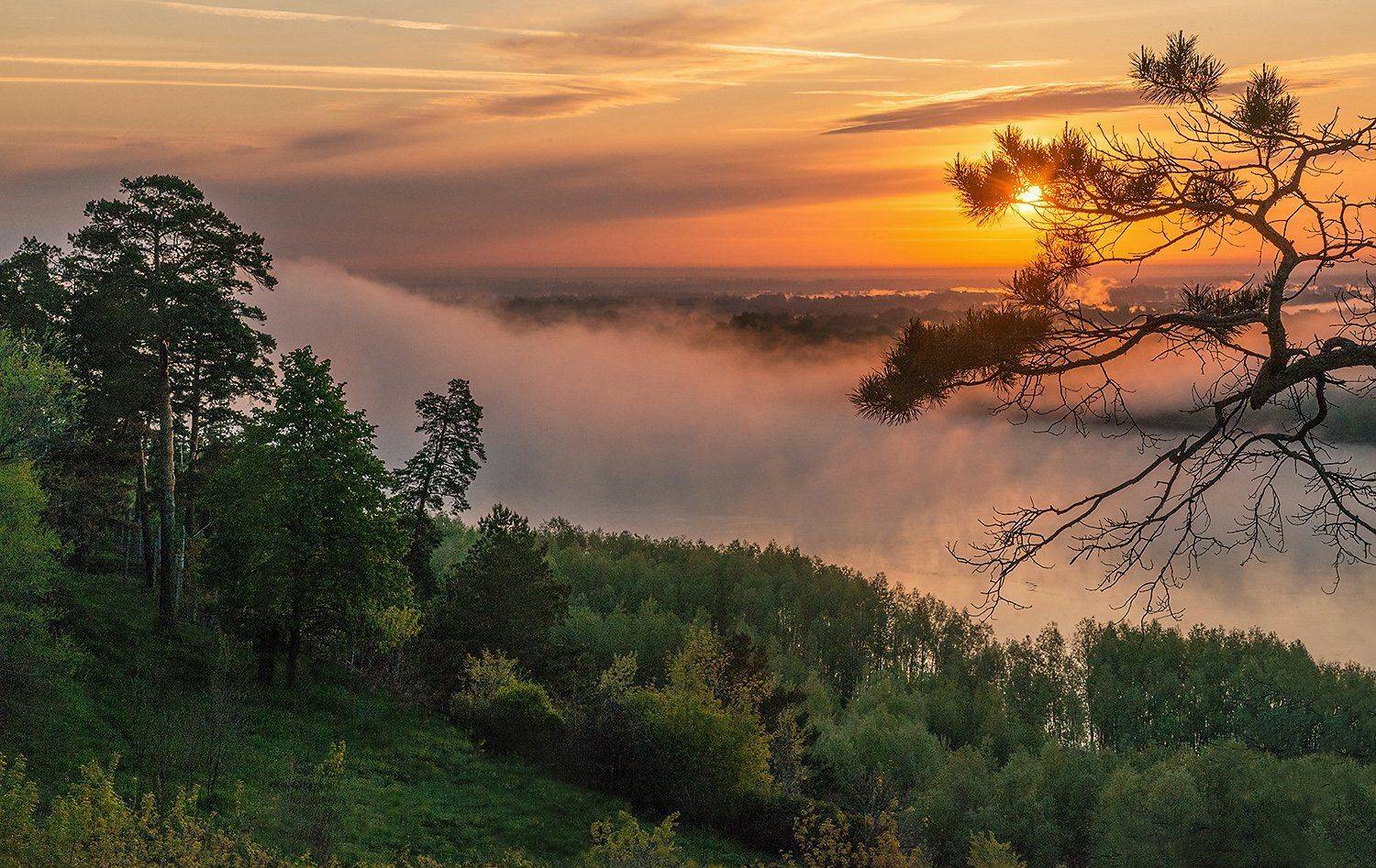 Altai, Altai krai, Fog, Siberia, Spring, Sunrise, Алтай, Алтайский край, Обь, Рассвет, Сибирь, Туман, Павел Филатов