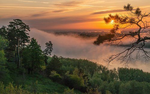 Рассвет над Обью