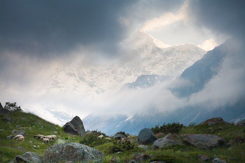 горы, кавказ, Безенги, Гестола, рассвет, облака, солнце, природа Красавица Гестола фото превью