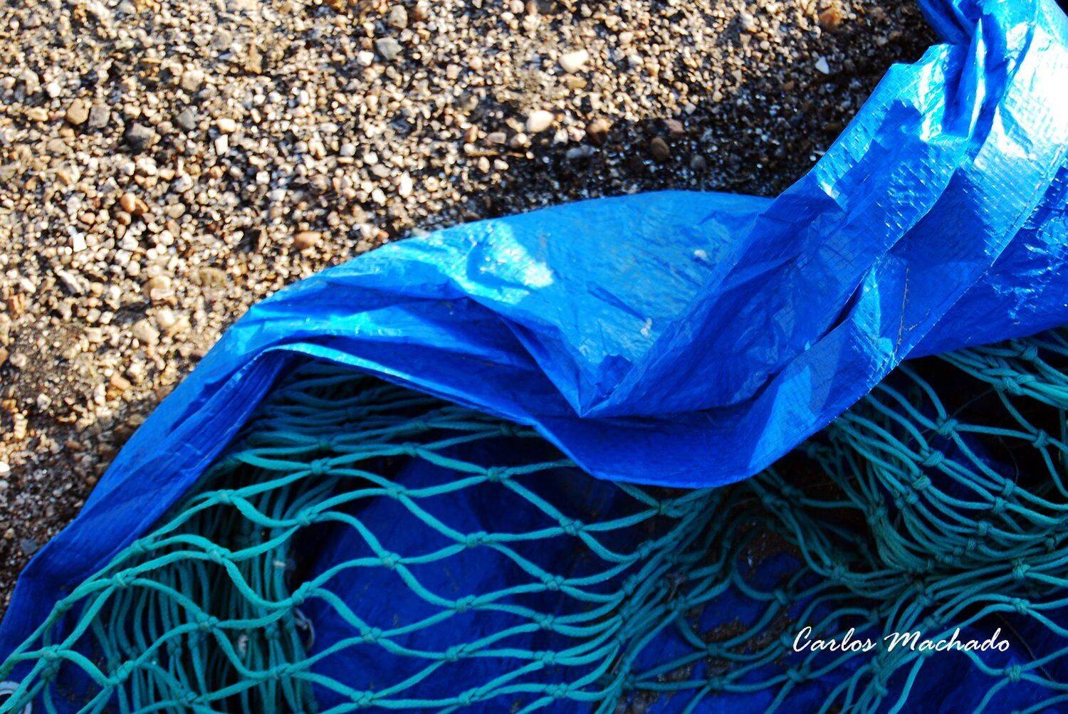 Macro, Travel, Other, Reportage, Still life,, Carlos Machado