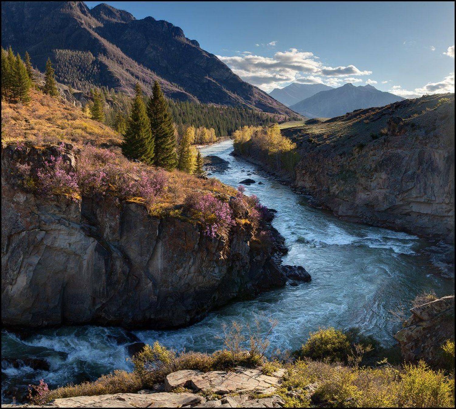 Алтай, Багульник, Вечер, Горы, Порог Горизонт, Река, Чуя, Ярославский Виталий, Виталий из Н-ска