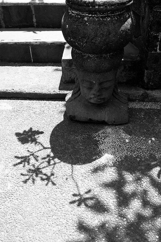 тени, саратов, estetmf, shadows,  jungle,bali ,бали, стрит, street, frangipani, франжипани тени Бали фото превью