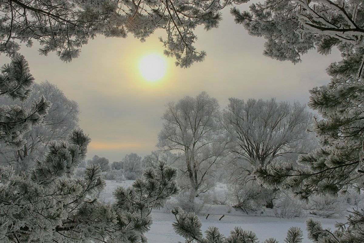 , Валерий Кондратов