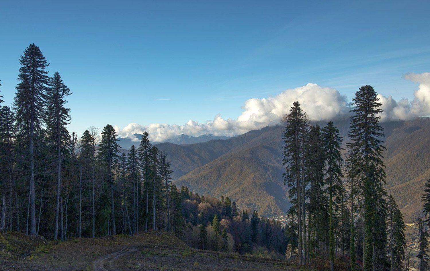 , Марина Мудрова