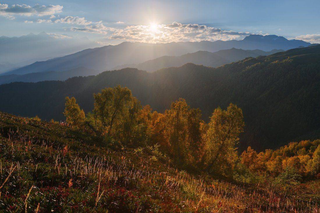 , Ярослав Тюрменко (Jaremi)