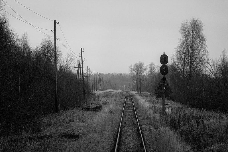 железная дороога, черно-белое, чб, станция, тверская область, деревня, горовастица Горовастица фото превью