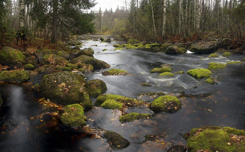 Укса фото превью