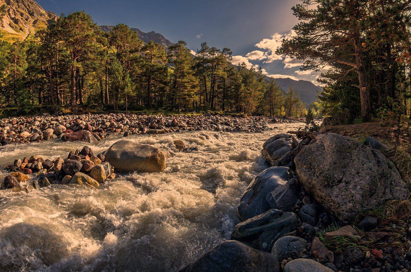 , Игорь Мелекесцев
