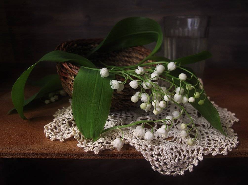 , ТАТЬЯНА ЗАХАРОВА