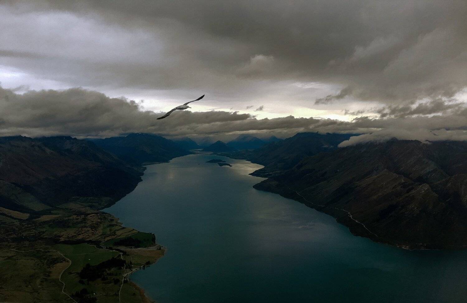 , Алексей Рыльский