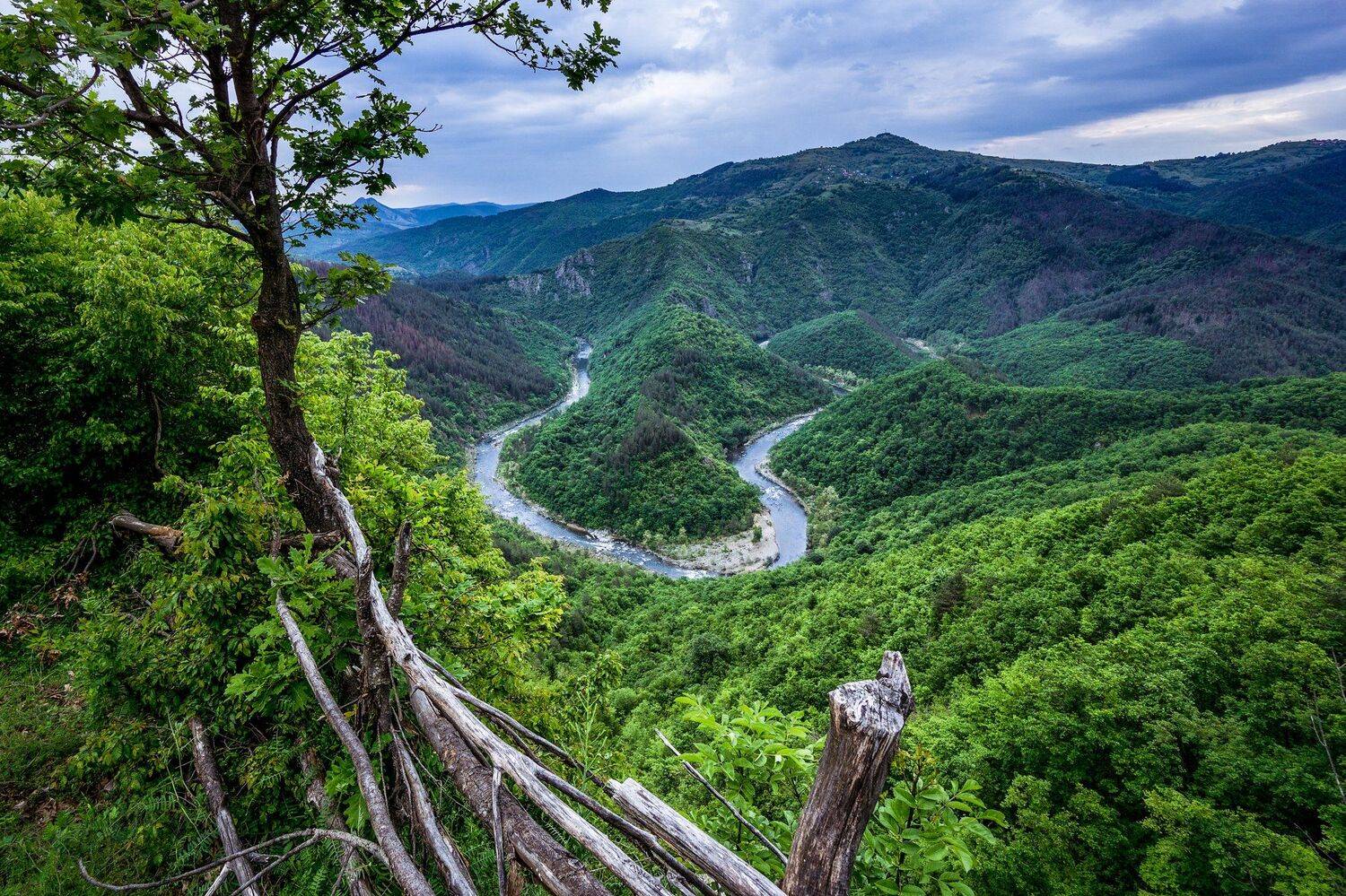 , Илияна Шишкова