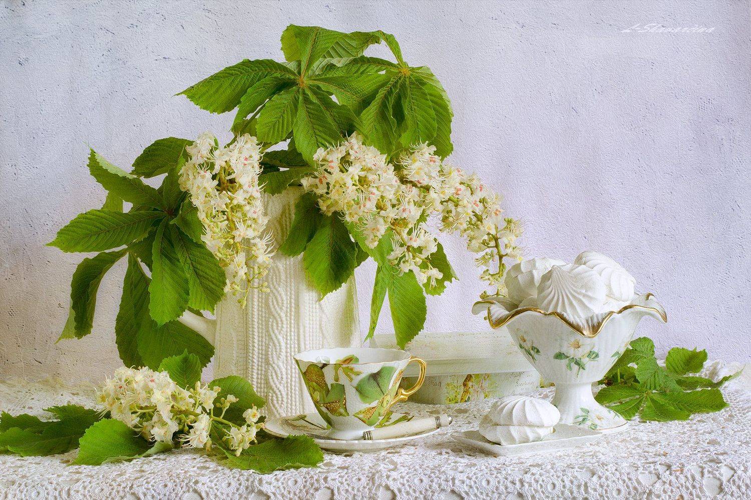 , Елизавета Шавардина