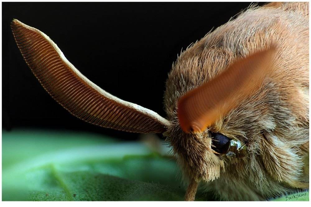 , Георги Славов