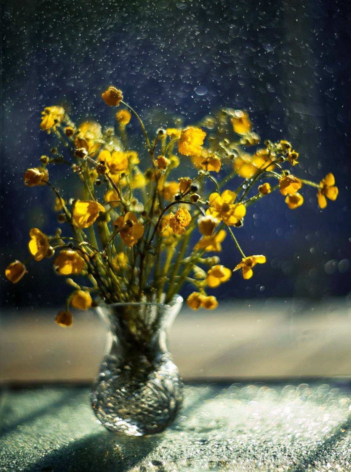 , Синкальський Тарас