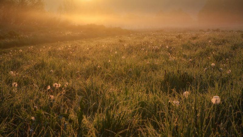 Однажды... фото превью