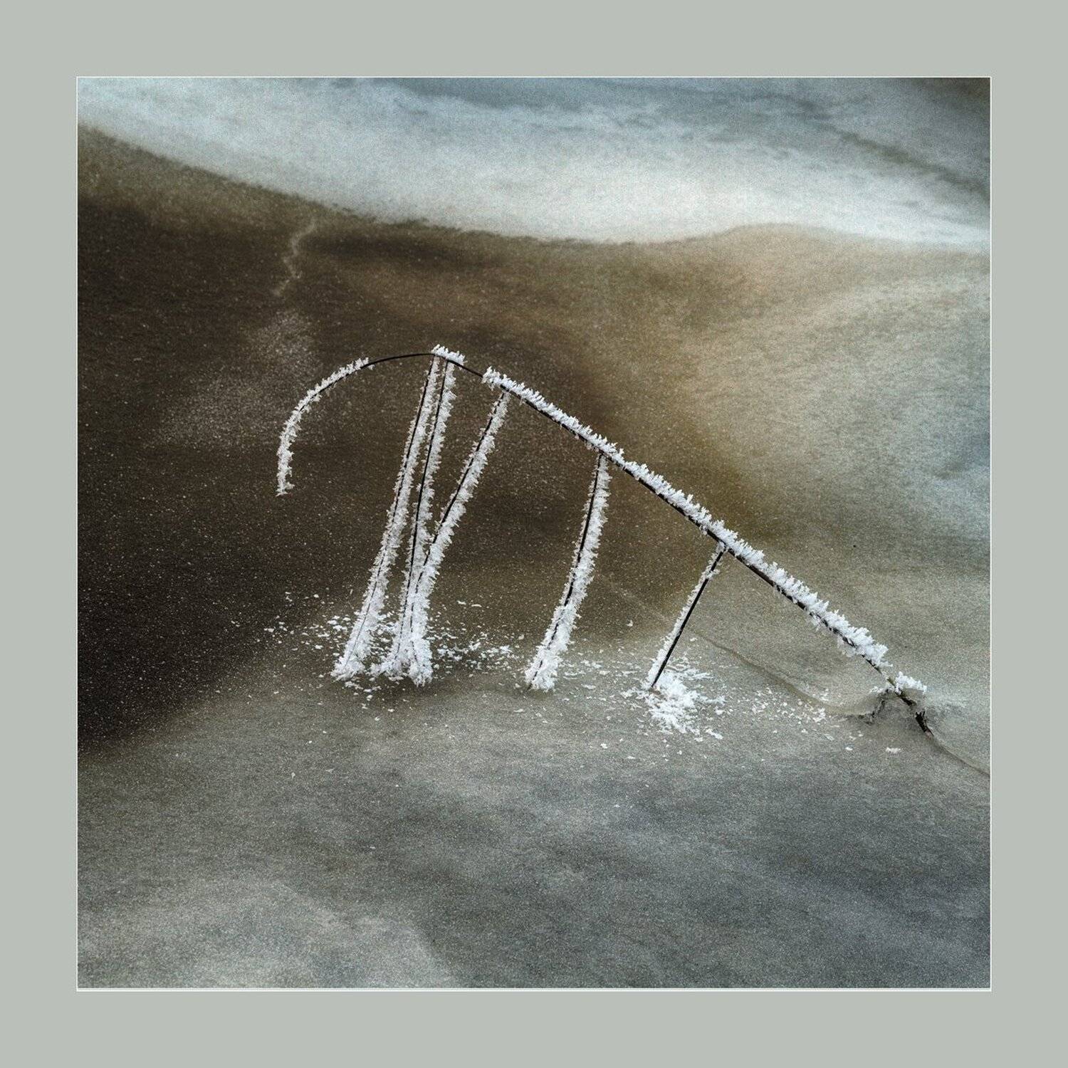 природа, ветка, иней, лед, Ра Вера