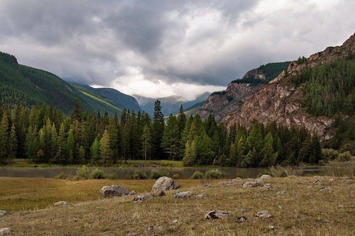 , Марина Фомина