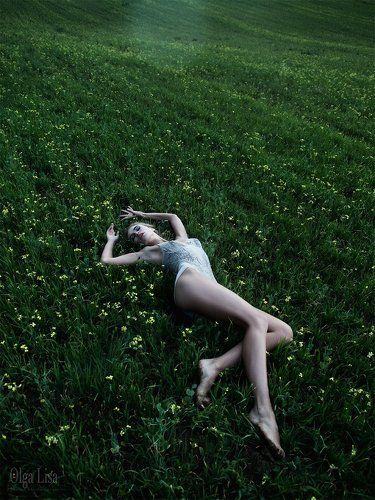 celandine