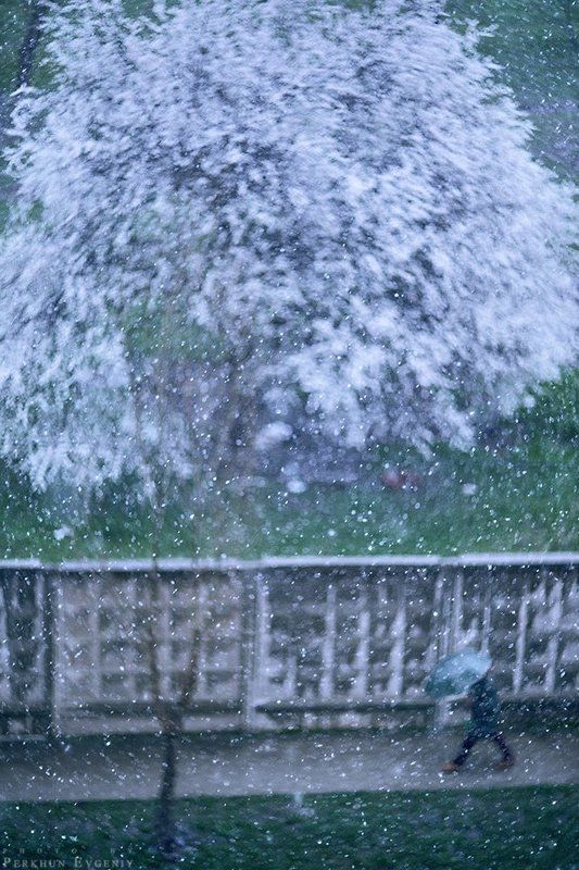 снег, ураган, человек, зонт Снежный ураган фото превью