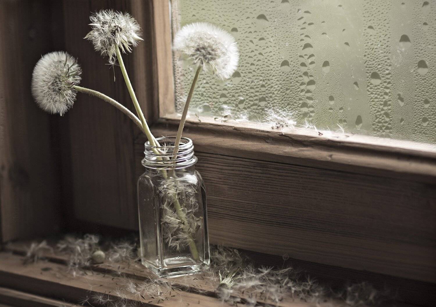 , Наталья Бочкарева