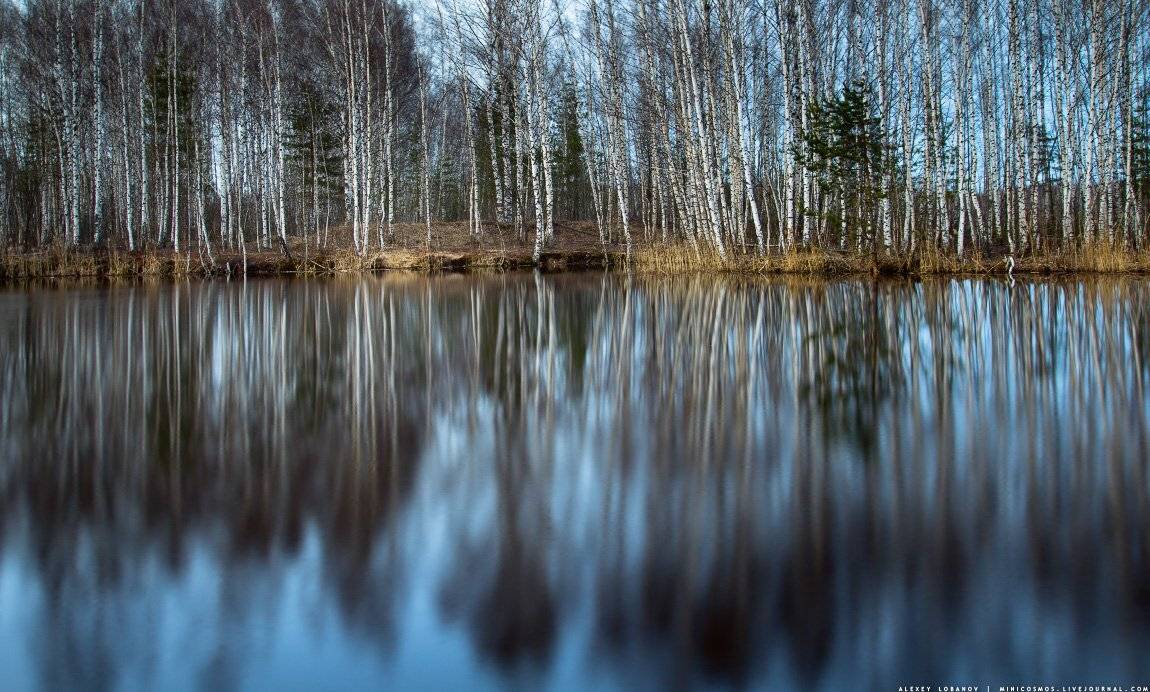 , Алексей Лобанов